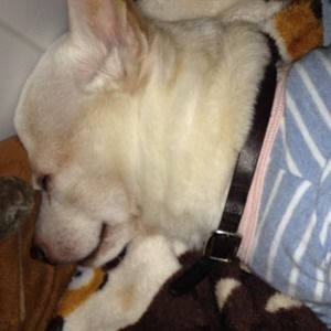 Meet your Posher, Traci